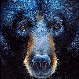 Meet your Posher, Black Bear!